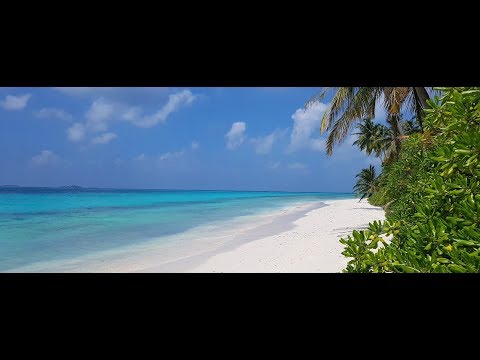 Video: Posao Knjižara Na Maldivima