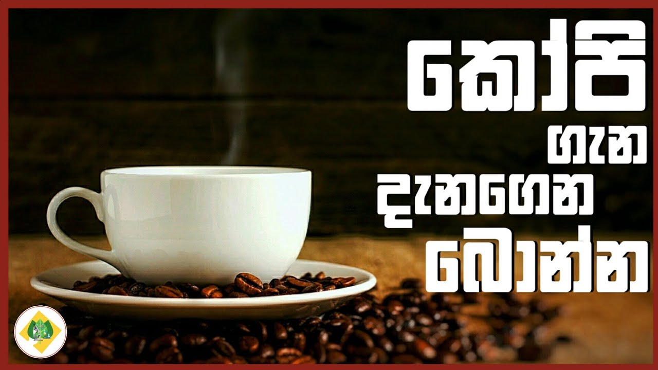 Coffee the Beverage sinhala YouTube