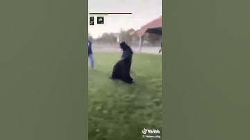 Me when Corona-chan  A C C E L E R A T E S