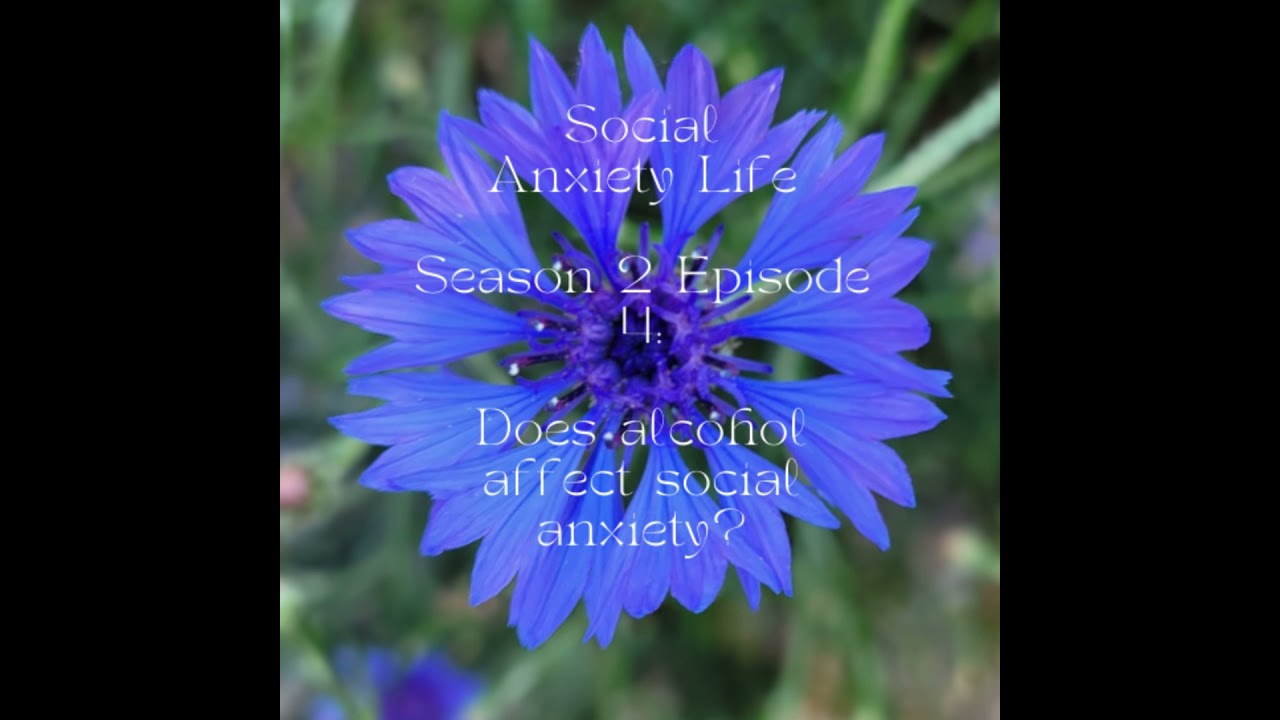 Social Anxiety Life: S2E4: Can alcohol affect social anxiety?