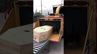 Surviving A Wood Chipper