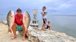 When Sharks ATTACK but you still CATCH Monster Snapper! (Catch Clean & Cook)