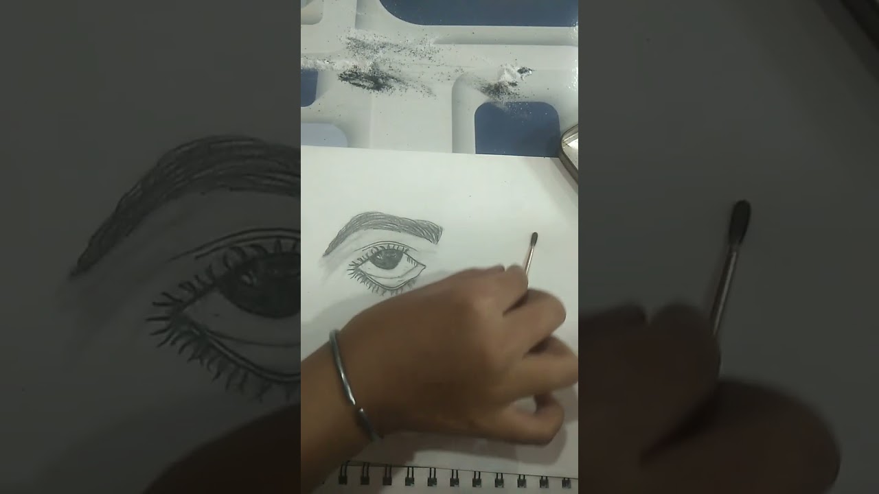 trasitions X premika 🔥