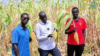 AREA Ecofarm: Leadership, Sustainability, and the Road to Harvest by Eng. Jok Gai Anai