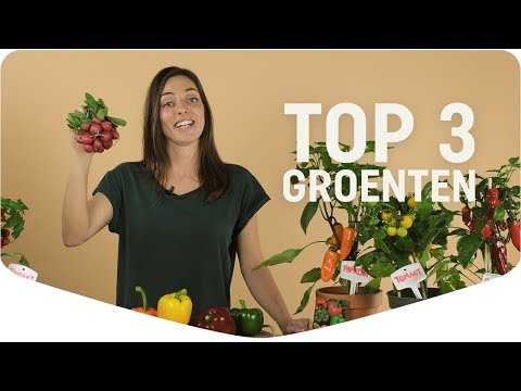 Top 3 groenten om te kweken in je moestuin