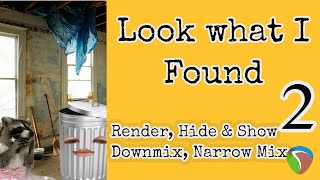 Make Reaper Better, Look What I Found - 02: Render, Hide & Show Tracks, Downmix, Narrow Mix Profile