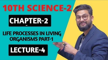 10th Science-2 | Chapter 2 | Life Processes in Living Organisms Part-1 | Lecture 4 | JR Tutorials |