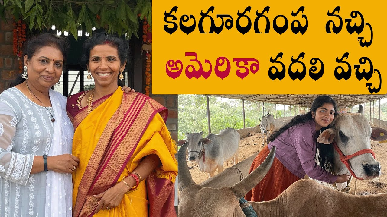 america-to-india-gruhapravesham