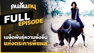 คนค้นฅน : เมล็ดพันธ์ความยั่งยืนแห่งตระการพืชผล l Full ( 22 มีนาคม 63)