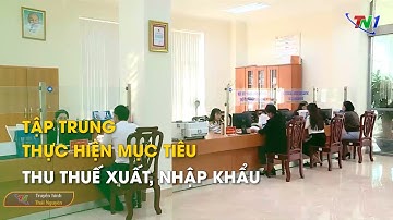 Tập trung hoàn tất mục tiêu thu thuế xuất, nhập khẩu  | Thái Nguyên TV