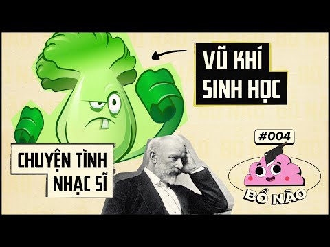 Video #04 BỔ NÃO: Chuyện Tình Không Có Tình Yêu & Thực Vật... - youtube