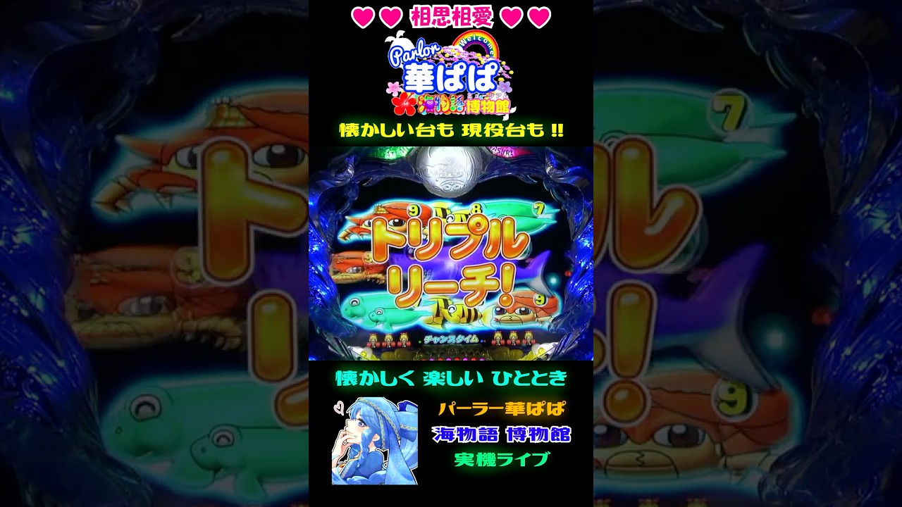 ㊗️アグネスPremiumで復活！㊗️🔥激熱🔥✨トリプルリーチ✨🐬大海
