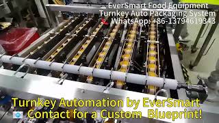 High-Speed Automatic Biscuit & Potato Chips Feeding & Packaging Line | EverSmart Food Equipment