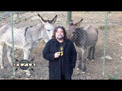 TESLA - Happy Holidays from TESLA!