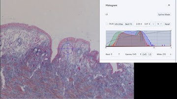 Digital Cameras Part 3   White Balance