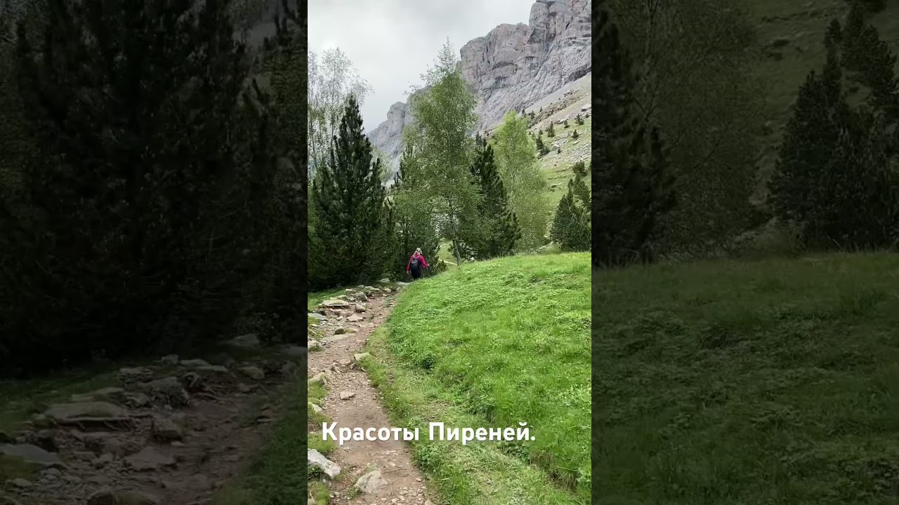 Пиренеи, просто восторг.           