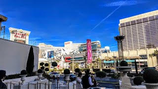 LAS VEGAS LIVE! Knitting Week on the Strip - January 24, 2025 🧶