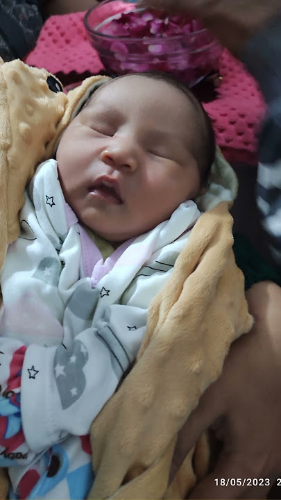 Download lagu Anta Samsun Anta Badrun Anta nurun pauko Nuri #Shorts