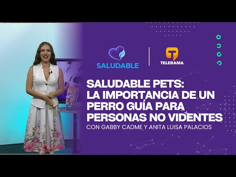 Saludable Pets: La importancia de un perro guía para personas no videntes