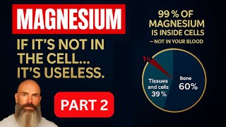 Feeling Off? Fix the Cellular Magnesium Problem No One’s Talking About. screenshot 2
