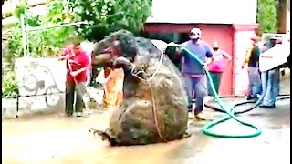Did These Workers Discover A Giant Rat The Size Of A Car Underneath Mexico City?