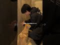 2歳、ちわ柴によるトイレDIY編