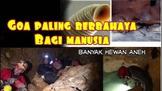 Goa terkunci 5 juta tahun...#goa#guamovile#aviation 