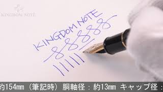 PLATINUM プラチナ 万年筆 #3776 センチュリー ブラックインブラック 廻り止め 招き猫 中字