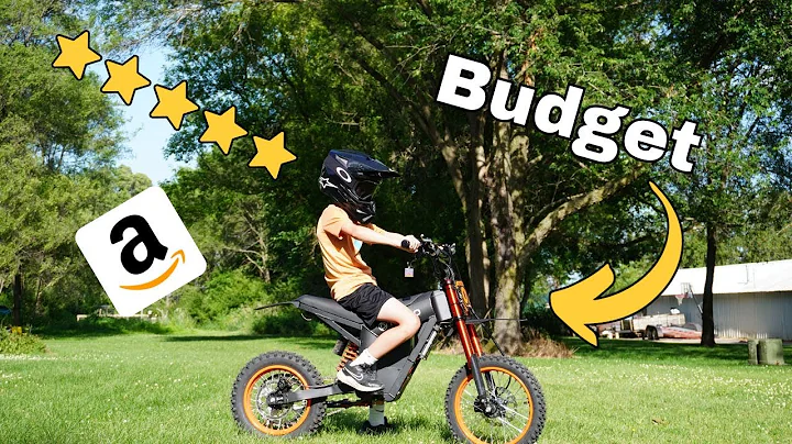 Cheapest Amazon E-Bike!