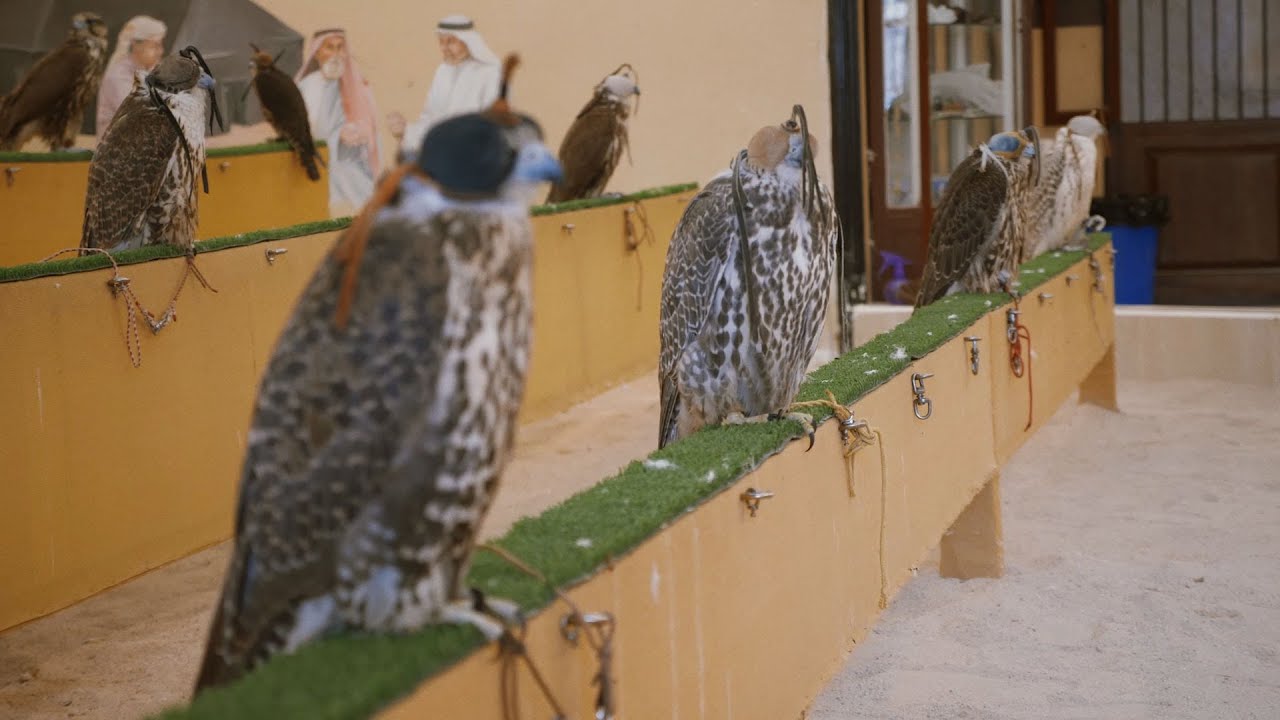 Inside Doha's Falcon Souq