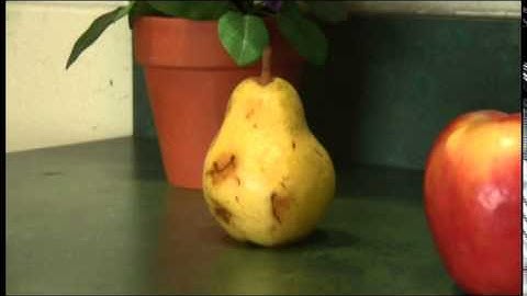 Inanimate Object Project