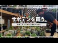 【サボテン】サボテンは種類がありすぎ!サボテン初心者がスーパー兜を買う【ゲッチューファーム園芸ver】