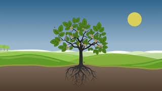 Phytech - Select Harvests Testimonial