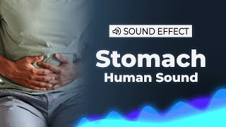Upset Stomach Sound Effect | SFX