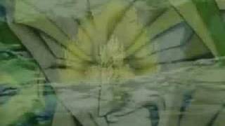 Goku Vs. Broly- Pushes me awaY-LiNkIn PaRk