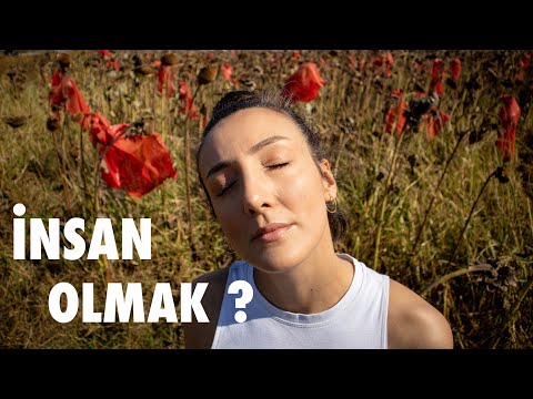 İnsan Olmanın Arka