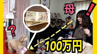 【母初公開】100万円貯まったので母の誕生日にあげてみた