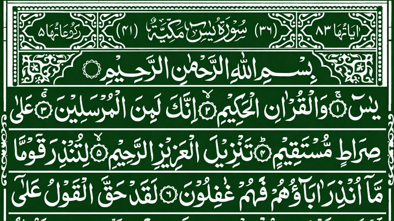 Surah Yaseen Surah Rahman Beautiful Voice || Ep 8 || quran recitation beautiful tilawat || yasin