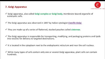 Lecture 03 | Cell Organization | Cell Organelles | Iram Gul