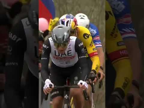 👑Le Roi Pogacar intouchable sur le Tour des Flandres 2023 #shorts #cycling #bike