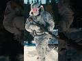 Special Forces Arctic Warfare Loadout - MW2 Cliffhanger #specialforces #greenberet
