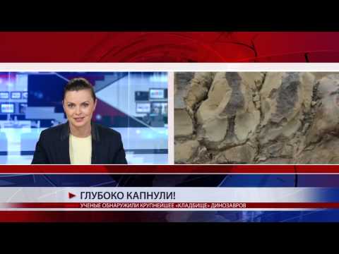 УЧЕНЫЕ ОБНАРУЖИЛИ КРУПНЕЙШЕЕ «КЛАДБИЩЕ» ДИНОЗАВРОВ