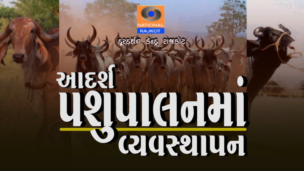 Aadarsh Pashupalan Vyavsthapan || Dr Pravin Chaudhari || KrushiDarshan Rajkot