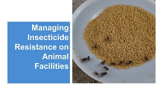 Managing Insecticide Resistance on Animal Facilities