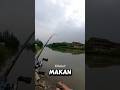 ikan apa namanya ini #viralvideo #shortvideo #casting #memancing #mancing #ikan #strike