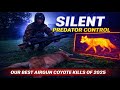 Crazy Coyote Hunting with airguns