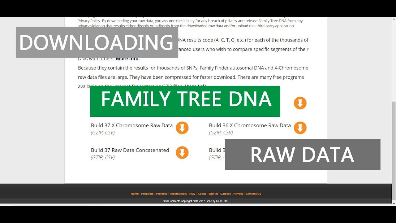 downloading family tree dna raw data youtube