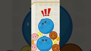 Watermelon Merge Game Suika Game Challenge 10