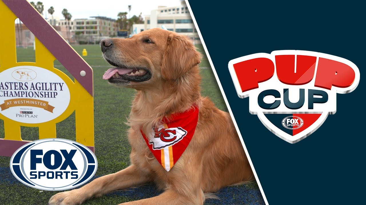 The FOX Sports Pup Cup in partnership with the Westminster Kennel Club! | FOX SPORTS