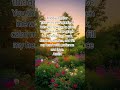 Midday Prayer For Everyday#prayer #prayingmom#bibleverses #bibleverse #bible #prayers #DreamScreenAI